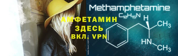 прущие грибы Верея