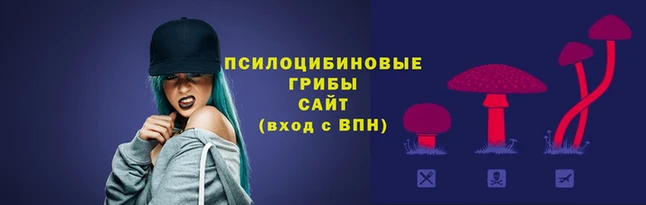 соль ск Бородино