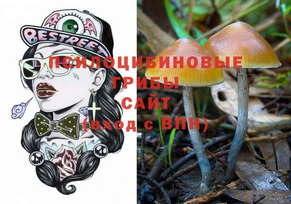 альфа пвп Бугульма