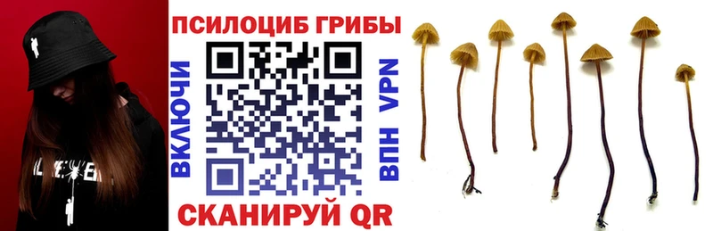 Галлюциногенные грибы ЛСД  ссылка на мегу сайт  Кандалакша  купить наркотики цена 